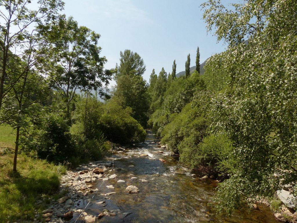 Cauce y ribera con tendido eléctrico para evitar el paso del ganado en la reserva natural fluvial Río Vallfarrera