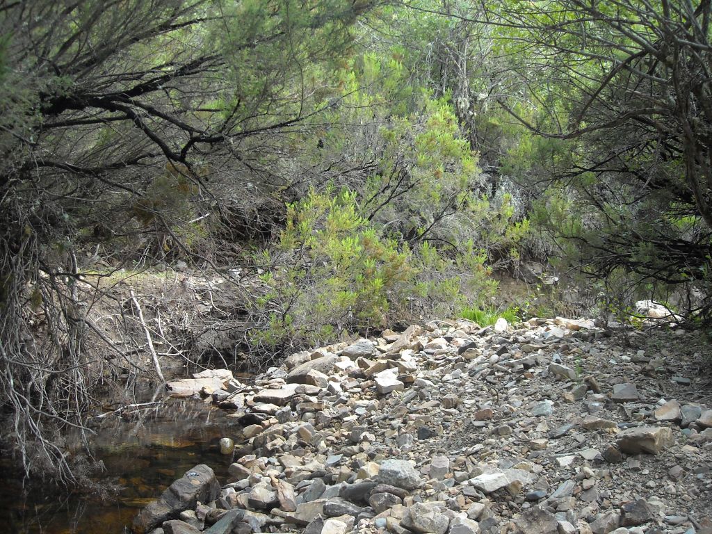 Bloques y gravas conforman barras transversales en la reserva natural fluvial Arroyo Vallosera