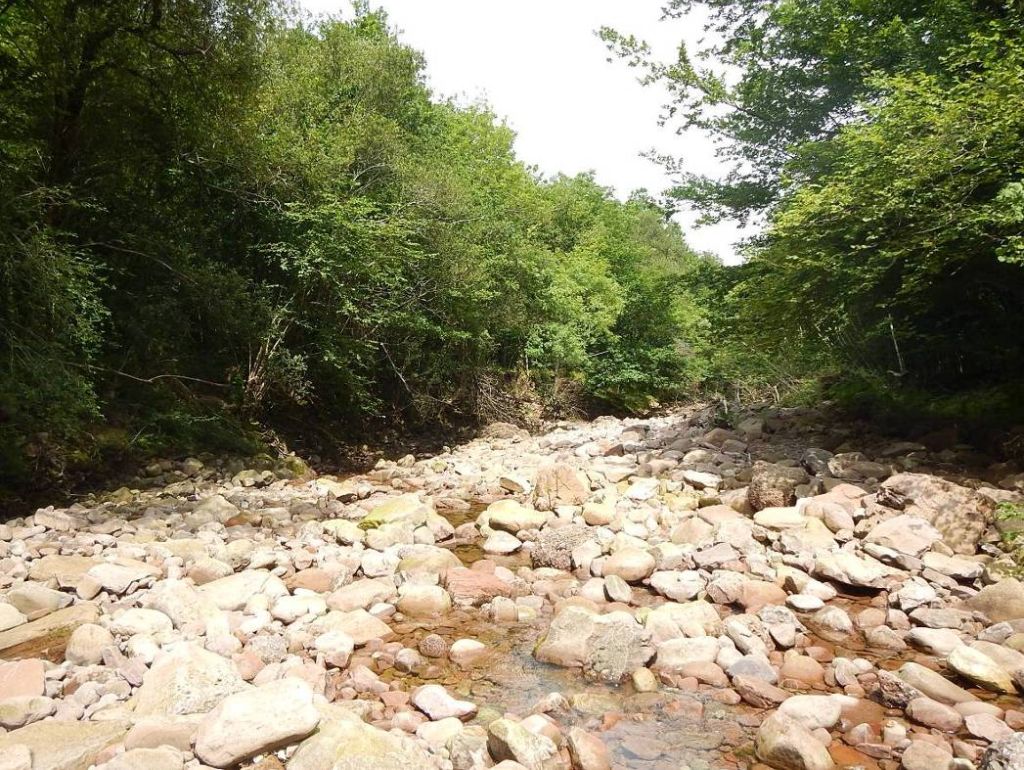 Cauce en estiaje en la reserva natural fluvial de Ríos Urrizate-Aritzacun