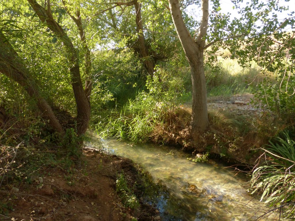 Orilla escavada por la acción de las aguas en la reserva natural fluvial Cabecera de los ríos Salobre y Arjonilla (o Angorrilla)