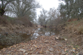 Reserva Natural Fluvial, río Milagro
