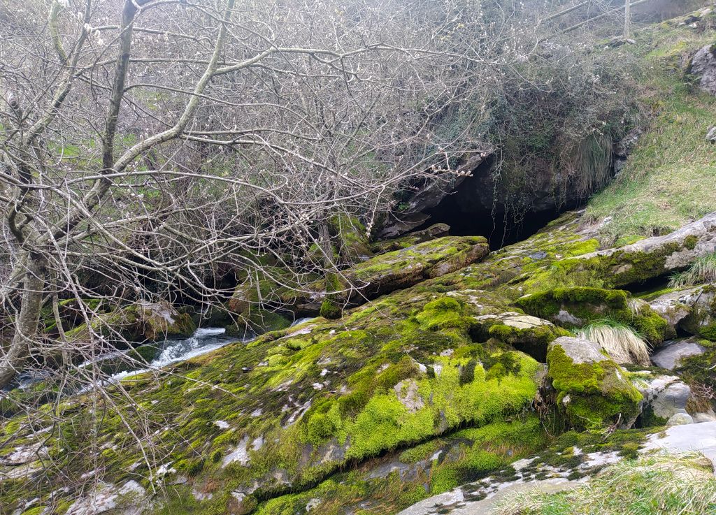 Salida puntual del flujo subterráneo por la Cueva de La Gándara en el Nacimiento del río Gándara.