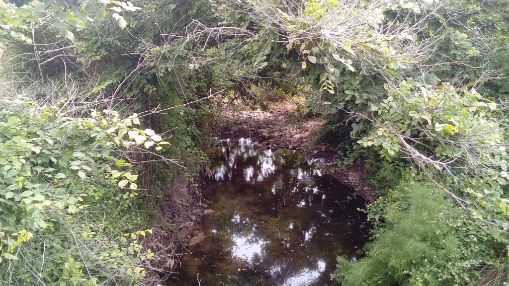 Reserva Natural Fluvial Torrent de Binimel·là