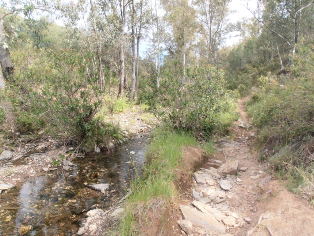 Reserva Natural Fluvial Arroyo de Clarina
