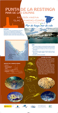 Panel 7. Punta de la Restinga, Mar de las Calmas (Islas Canarias, España)