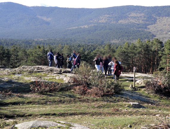 Los participantes reciben información sobre el método de aprovechamiento del pinar