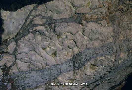 Las rocas que originaron esta isla, proceden de erupciones volcanicas submarinas.