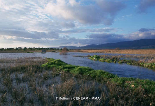 Las tablas de Daimiel, son uno de los mejores ejemplos de nuestro país de llanuras inundadas asociadas a ríos.
