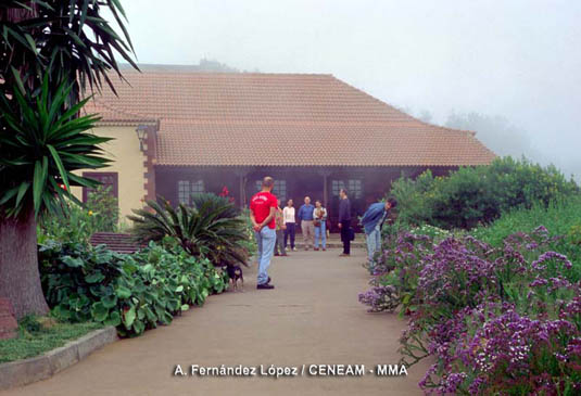 En el centro de recepción de visitantes del parque, se da una visión general de Garajonay y de la Isla de la Gomera.