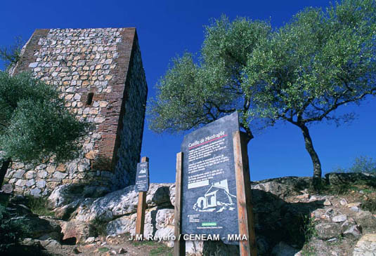 El castillo de Monfragüe es una fortaleza en ruinas que data de la época árabe. Con la conquista posterior de los cristianos, sufrió algunas remodelaciones.