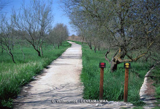 El parque cuenta con una serie de senderos señalizados que permiten conocer a fondo sus diferentes ecosistemas.