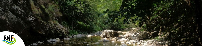 Reserva natural fluvial Cabecera del río Ponga