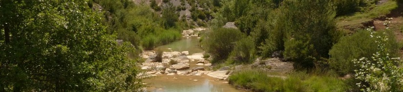 Reserva Natural Fluvial Río Isuala desde su nacimiento hasta su desembocadura en el río Alcanadre