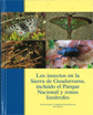 Fotografías de mariposas características de la Sierra de Guadarrama