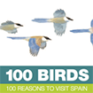 100 birds, 100 reasons to visit Spain