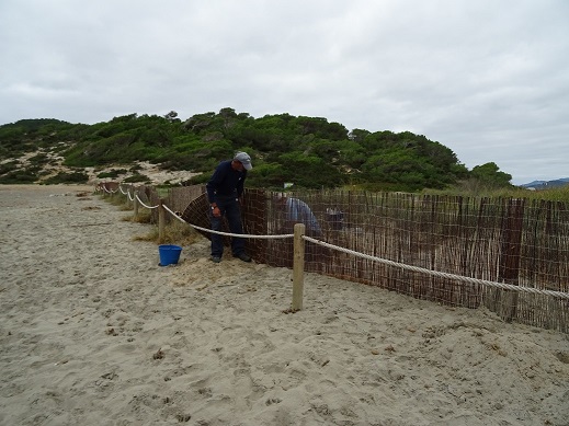 Plan PIMA Adapta: Mantenimiento de playas y sistemas dunares en Illes Balears (2015)