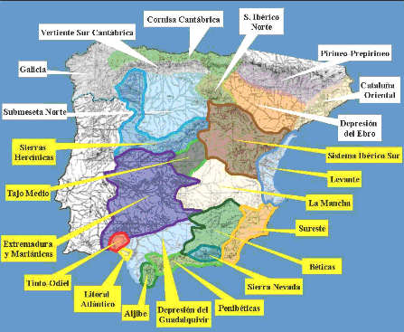 Caracterización de la vegetación de ribera