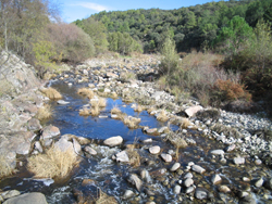 Lecho de un río