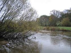 Vista de vegetación en un recodo de un río