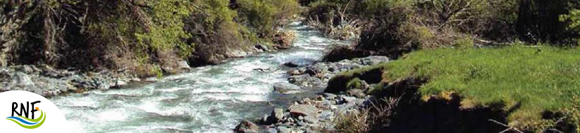 Reserva Natural Fluvial Alto Trevélez