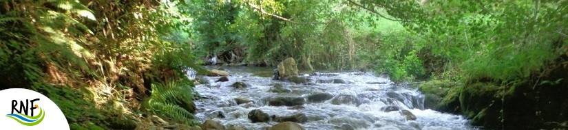 Reserva natural fluvial Nacimiento del río Naviego