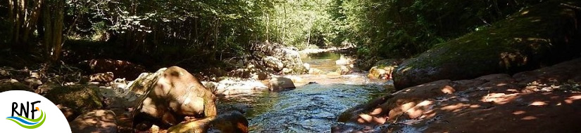 Reserva natural fluvial de los ríos Urrizate-Aritzacun