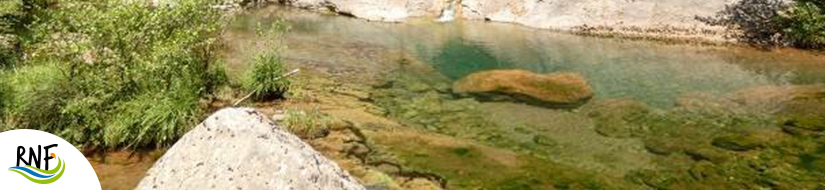 Reserva Natural Fluvial Cabecera de la Muga 