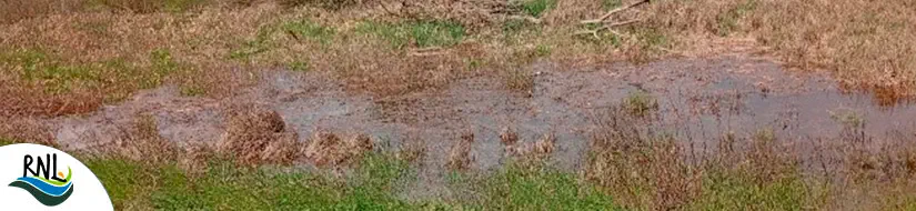 Estanys de les Alberes – Estanys de Canadal