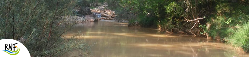 Reserva Natural Fluvial Rec de la Riba