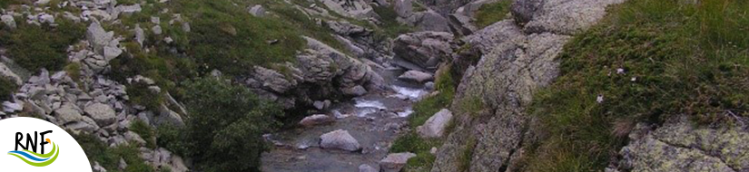 Reserva Natural Fluvial Torrente de Pla de Rus 