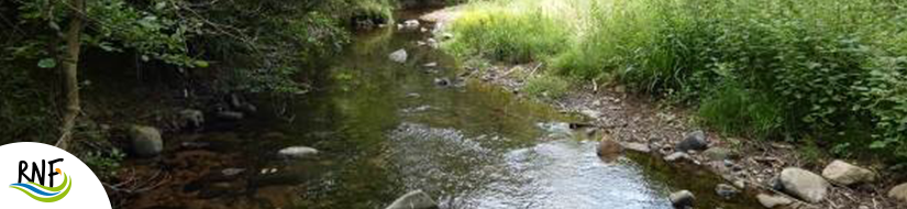 Reserva Natural Fluvial Tramo Medio de la Riera Major 