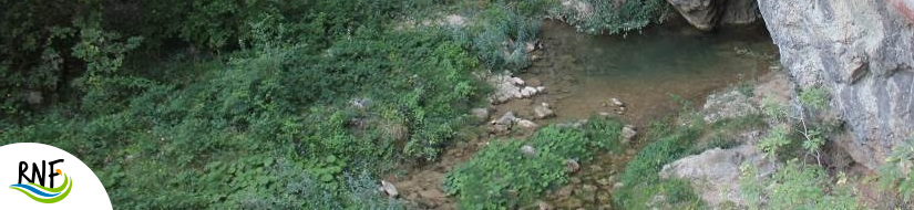 Reserva Natural Fluvial Río Mataviejas, Desfiladeros de La Yecla y Peña Cervera