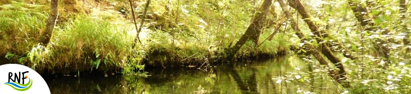 Reserva natural fluvial del Río Ulla-Deza. Zona: Río Grovas