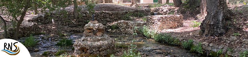 Reserva Natural Subterránea Nacimiento del río Añales y río Cebollón