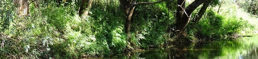 Reserva natural fluvial del Río Milagro