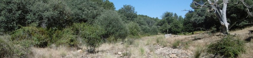 Reserva natural fluvial Arroyo Cabrera