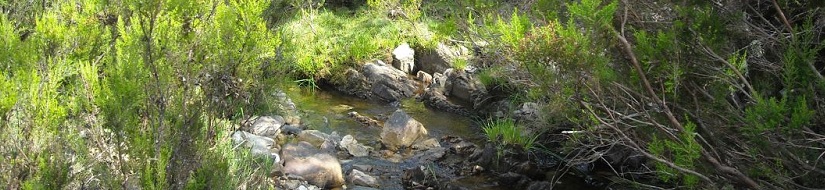 Reserva natural fluvial del Arroyo Vallosera