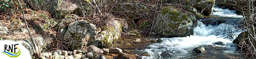 Reserva natural fluvial Río Barquillo y Río de Candelario
