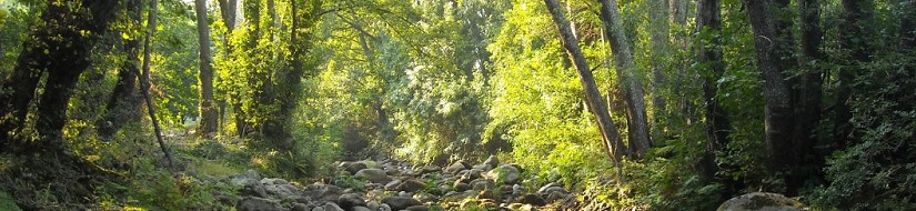 Reserva natural fluvial de la Garganta Mayor