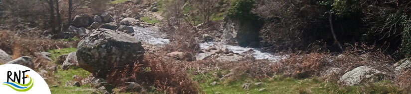 Reserva Natural Fluvial de la Garganta de las Torres
