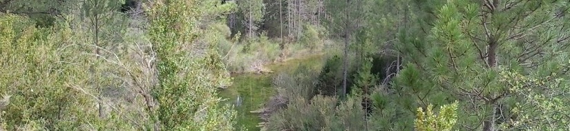 Reserva natural fluvial del río Escabas