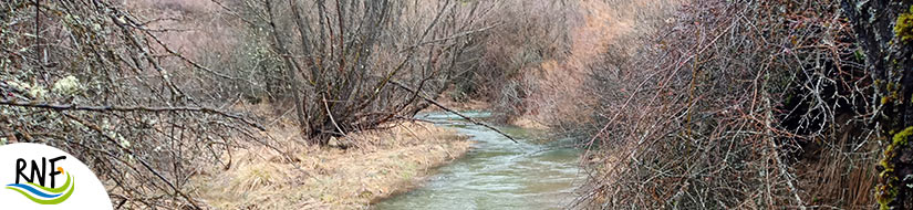 Reserva natural fluvial Río Guadiela