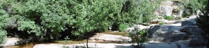 Reserva natural fluvial del río Manzanares