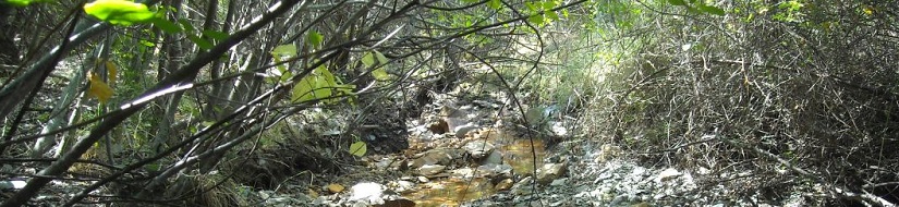 Reserva natural fluvial de los ríos Riato y Puebla