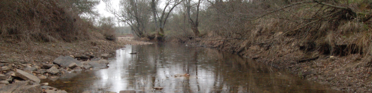 Reserva Natural Fluvial río Milagro