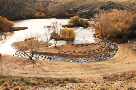 Plan E, escala de peces en el río Tormes