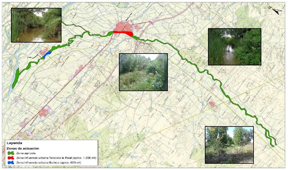Rehabilitación ambiental río Limonetes Talavera la Real