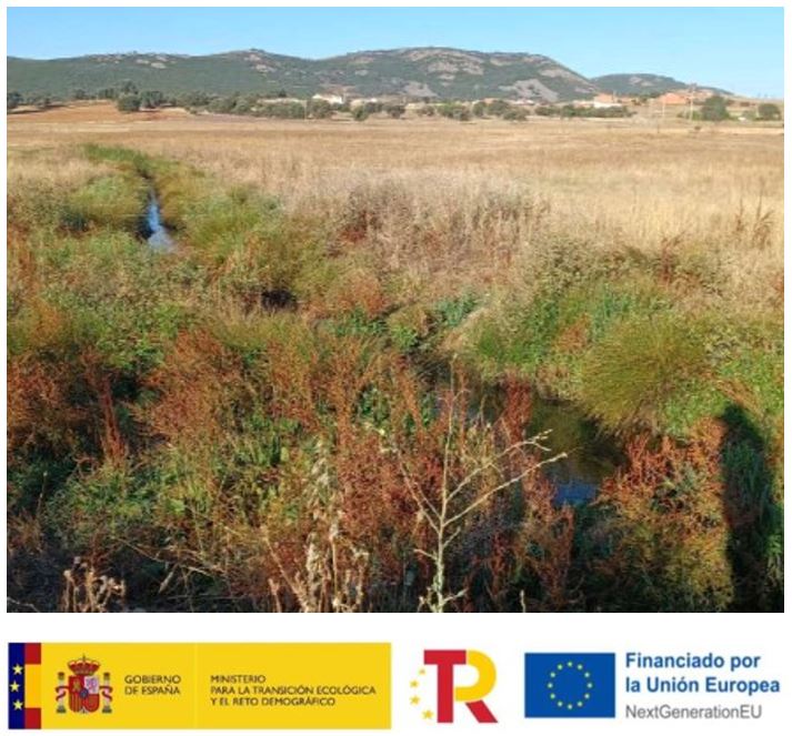 Restauración fluvial y protección del DPH afluentes río Bullaque