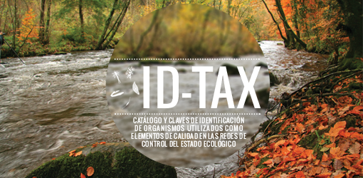 Imagen ID-TAX