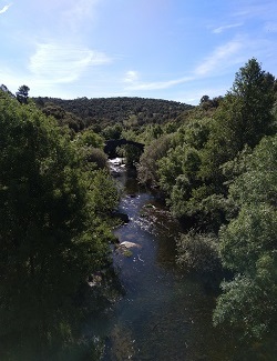 Río Tiétar